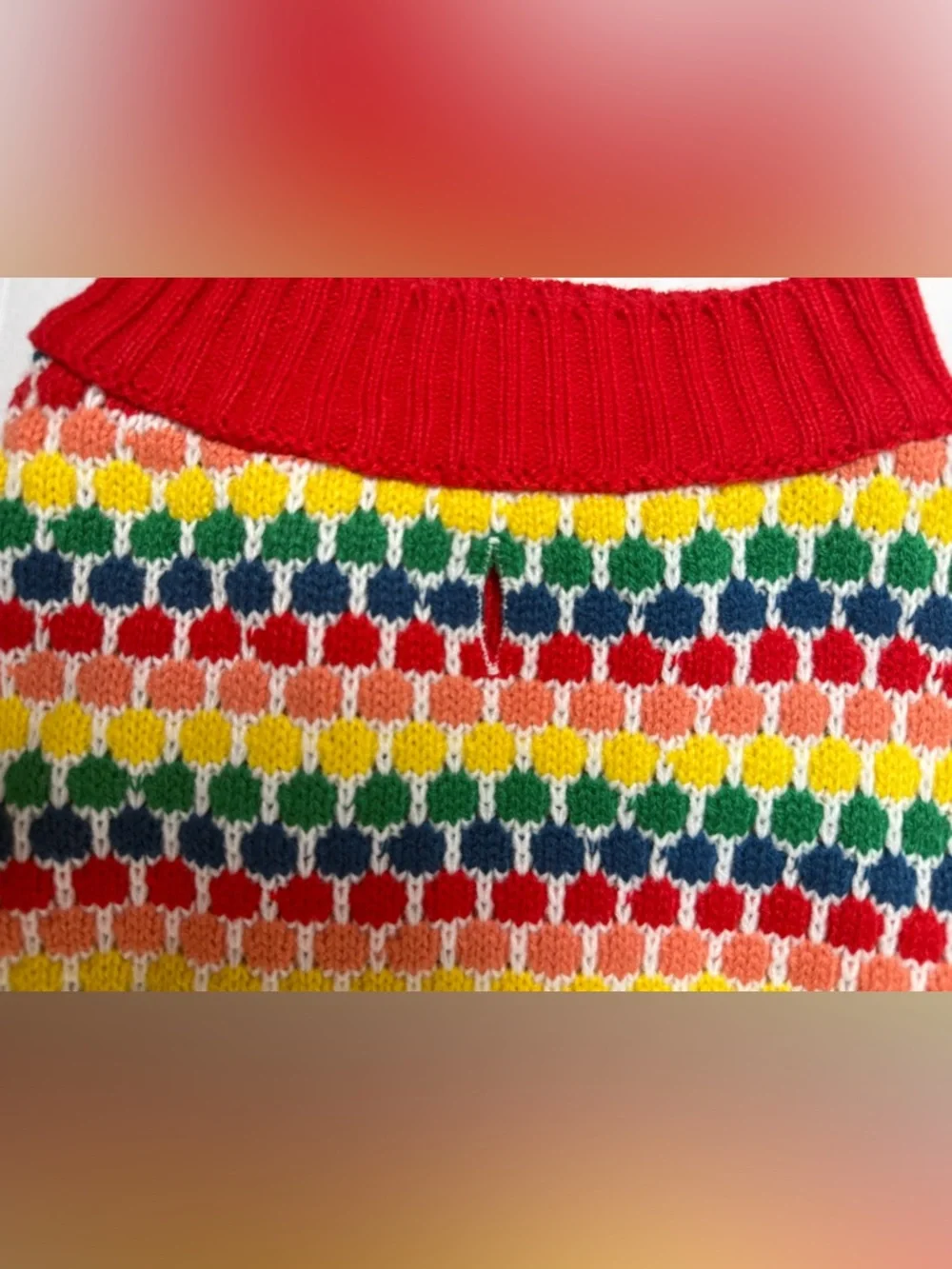 Wondershop Dog Christmas Sweater Rainbow Knit Multicolor Red Edging